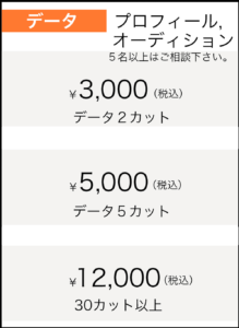 プロフィール、オーディション用写真